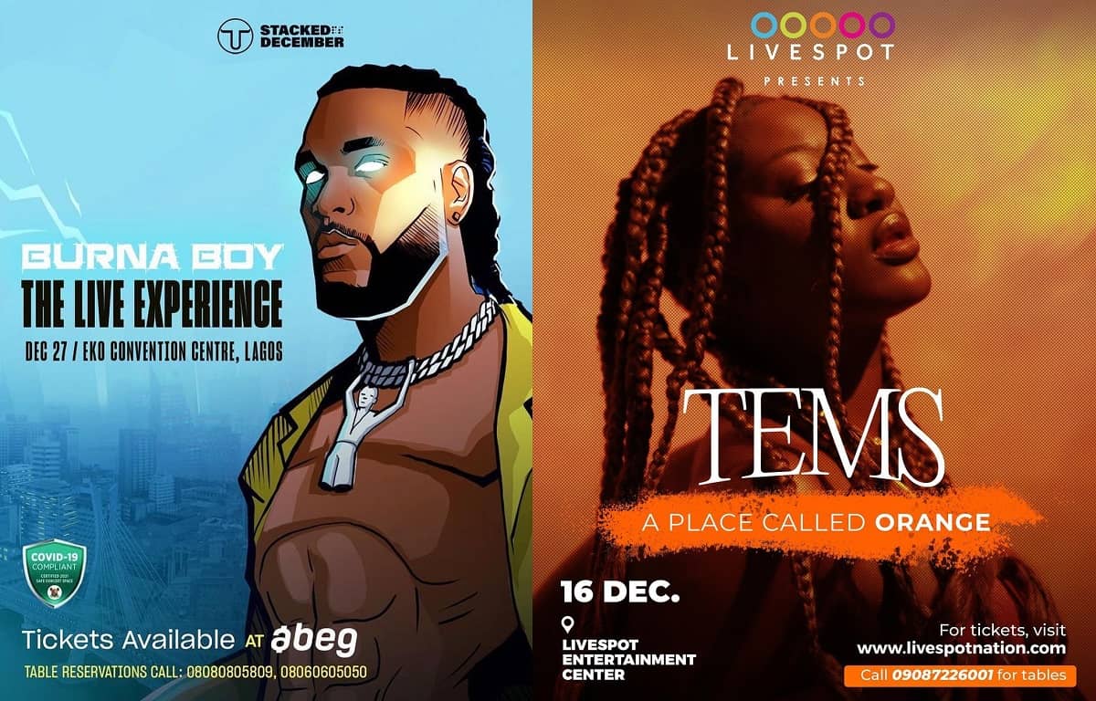 Vulnerability On Nigerian Ticketing Website